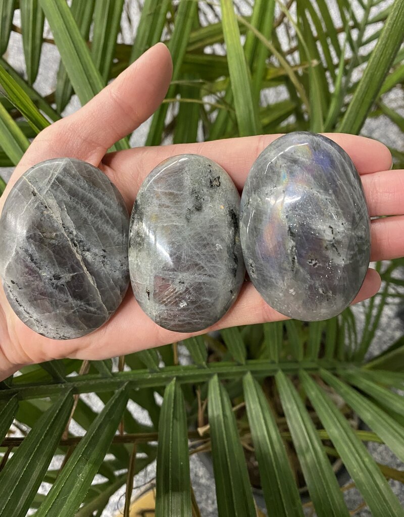 Labradorite Palm Stone, Size Small [75-99gr]