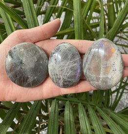 Labradorite Palm Stone, Size X-Small [50-74gr]