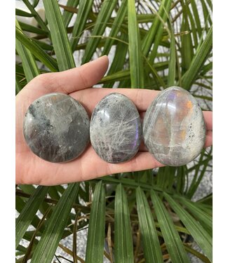 Labradorite Palm Stone, Size X-Small [50-74gr]