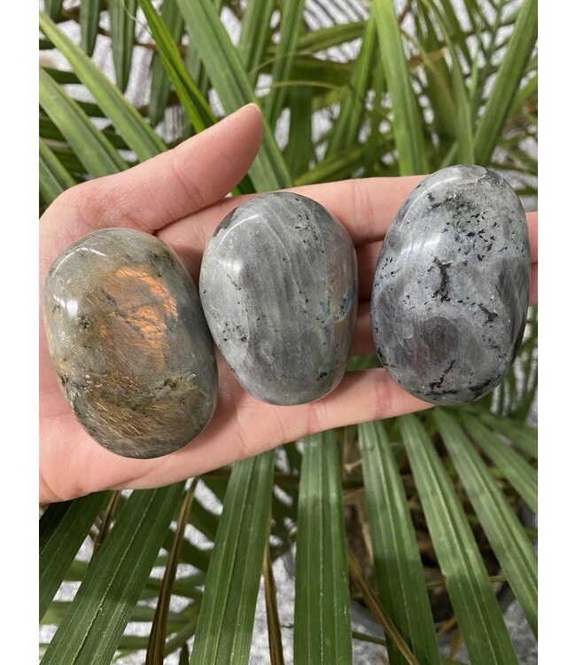 Labradorite Palm Stone, Size Medium [100-124gr]