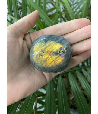 Labradorite Palm Stone, Size Large [125-149gr]