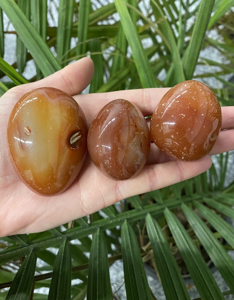 Carnelian Palm Stone, Size Small [75-99gr]