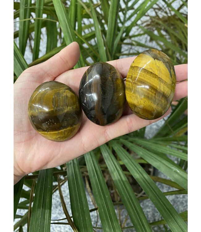 Tiger Eye Palm Stone, Size Small [75-99gr]