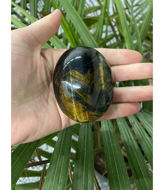 Tiger Eye Palm Stone, Size X-Large [150-174gr]