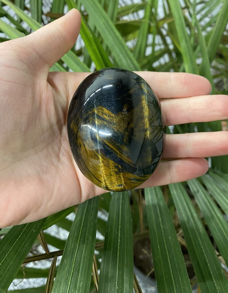 Tiger Eye Palm Stone, Size X-Large [150-174gr]