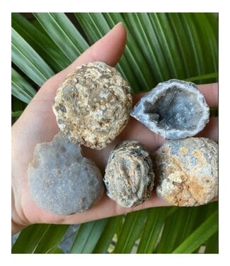 Rough Agate Geode, UNCUT, Rough Stone Only, Bulk Package 500gr