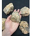 Rough Leopardite Size Small 500gr Bulk Pack