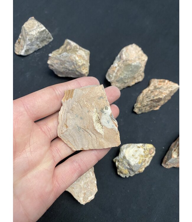 Rough Leopardite Size Small 500gr Bulk Pack