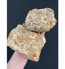 Rough Leopardite Size 7 [600-699gr]