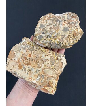 Rough Leopardite Size 7 [600-699gr]