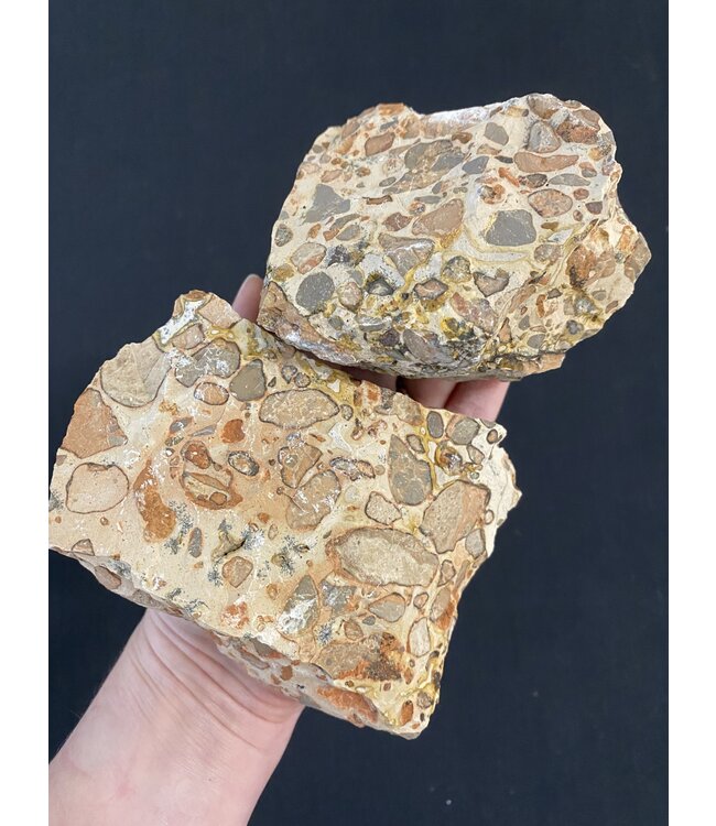 Rough Leopardite Size 7 [600-699gr]