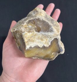 Rough Dendritic Chalcedony Size 6 [500-599gr]
