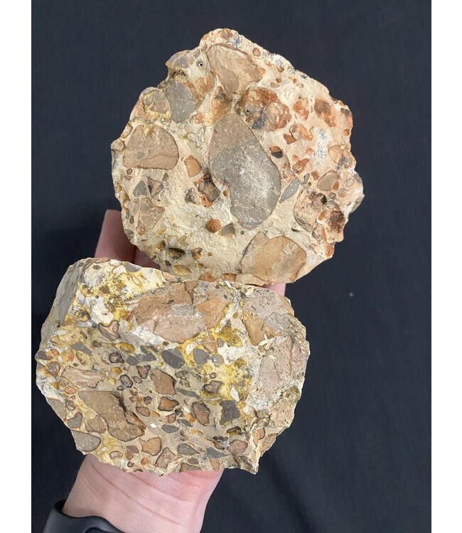 Rough Leopardite Size 6 [500-599gr]