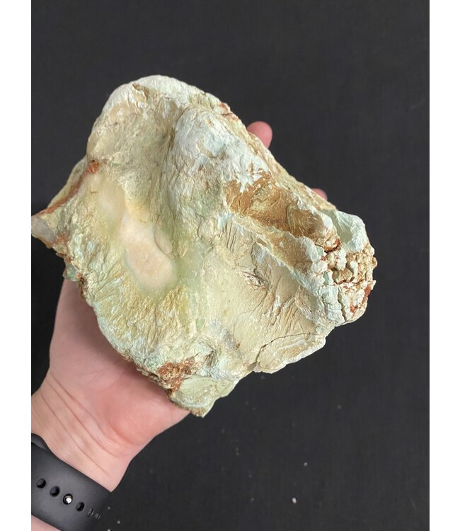 Rough Chrysoprase Size 15 [1400-1499gr] *disc.*