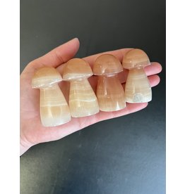 Honey Calcite Mushroom Carving, Size X-Small [50-99gr]