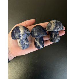 Sodalite Mushroom Carving, Size Small [100-149gr]
