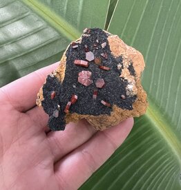 High Grade Vanadinite Specimen #49, 108gr, *disc.*