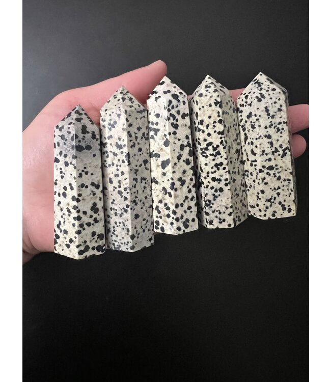 Dalmatian Jasper Point, Size Large [75-99gr]