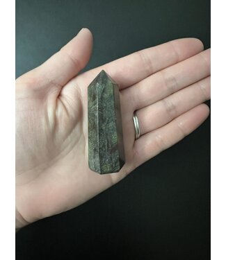 Dragon Blood Jasper/Dragon Bloodstone Point, Size Small [25-49gr]