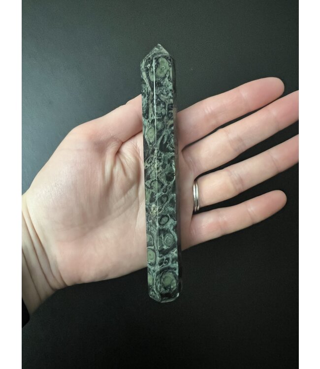 Kambaba Jasper Point, Size Large [75-99gr]
