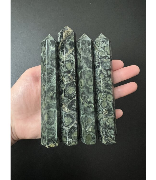 Kambaba Jasper Point, Size X-Large [100-124gr]