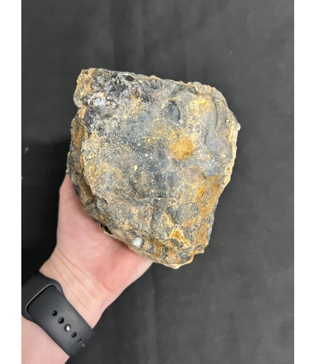 Rough Dendritic Chalcedony Size 14 [1300-1399gr] *disc.*