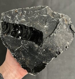 Rough Black Obsidian Size 22 [2100-2199gr]