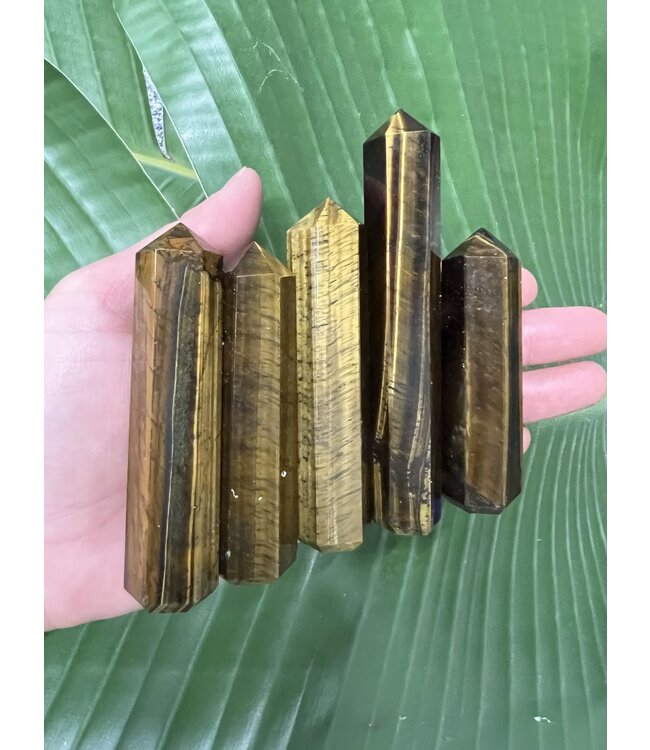 Tiger Eye Point, Size Medium [50-74gr]