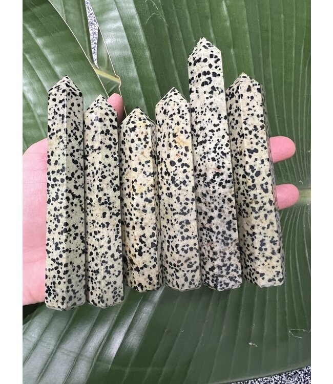 Dalmatian Jasper Point, Size Large [75-99gr]
