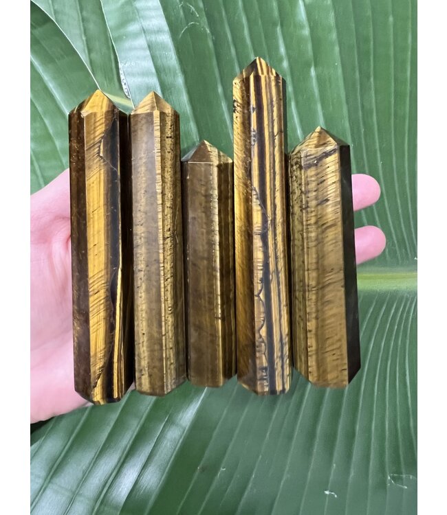 Tiger Eye Point, Size Large [75-99gr]