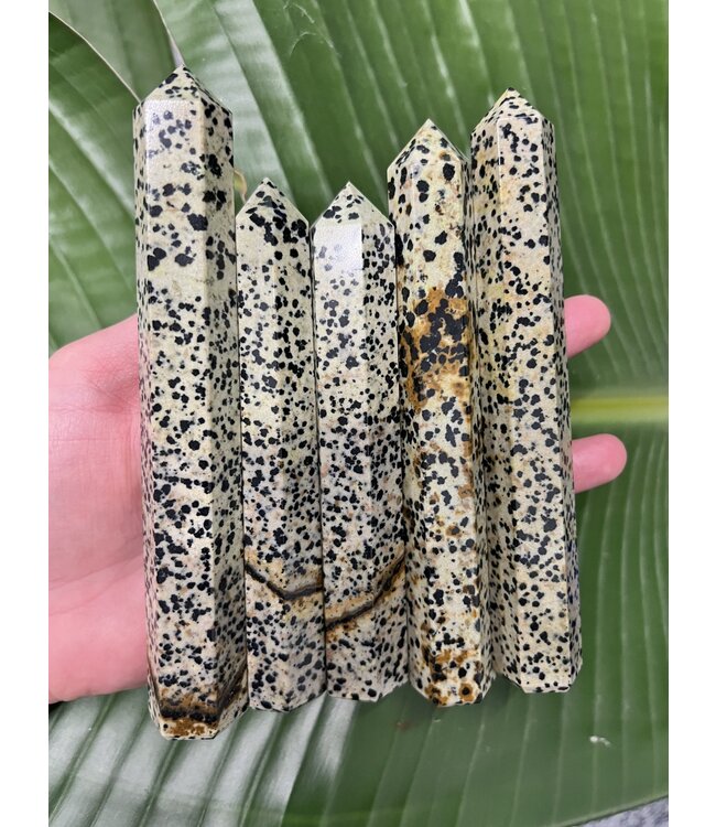 Dalmatian Jasper Point, Size X-Large [100-124gr]