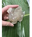 Flower Agate Dinosaur #3, 270gr, *disc.*