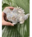 Flower Agate Dinosaur #10, 526gr, *disc.*