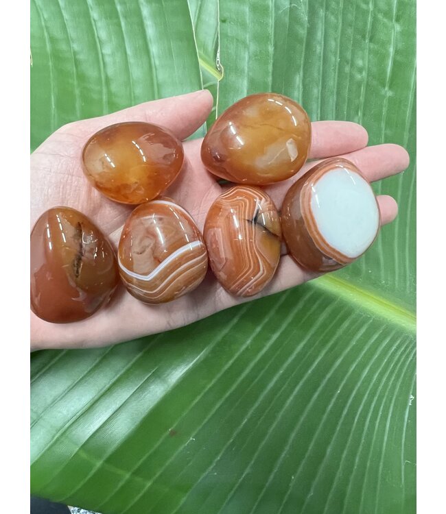 Carnelian Palm Stone, Size XX-Small [25-49gr]