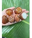 Carnelian Palm Stone, Size XX-Small [25-49gr]