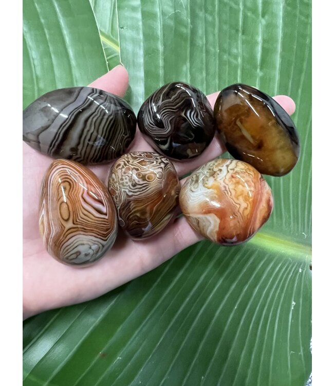 Sardonyx Palm Stone, Size X-Small [50-74gr]