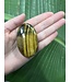 Tiger Eye Palm Stone, Size Small [75-99gr]