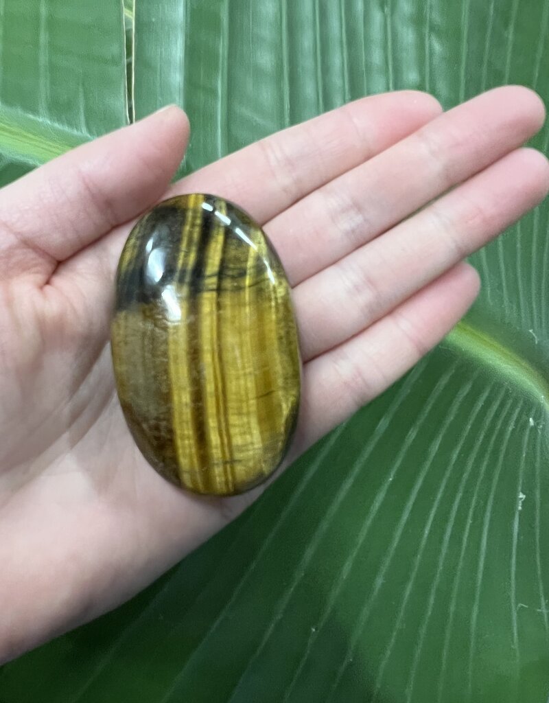 Tiger Eye Palm Stone, Size Small [75-99gr]