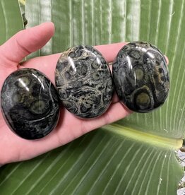 Kambaba Jasper Palm Stone, Size Medium [100-124gr] *disc.*