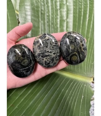 Kambaba Jasper Palm Stone, Size Medium [100-124gr] *disc.*