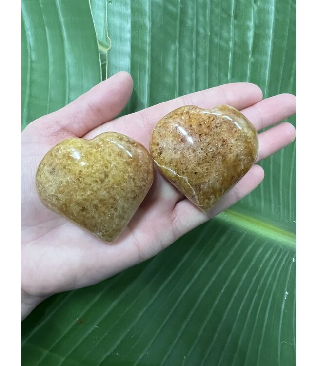 Golden Healer Heart, Size Medium [100-124gr]
