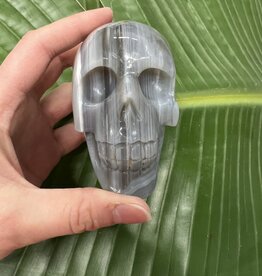 Skulls - The Raw Rock Shop Inc.