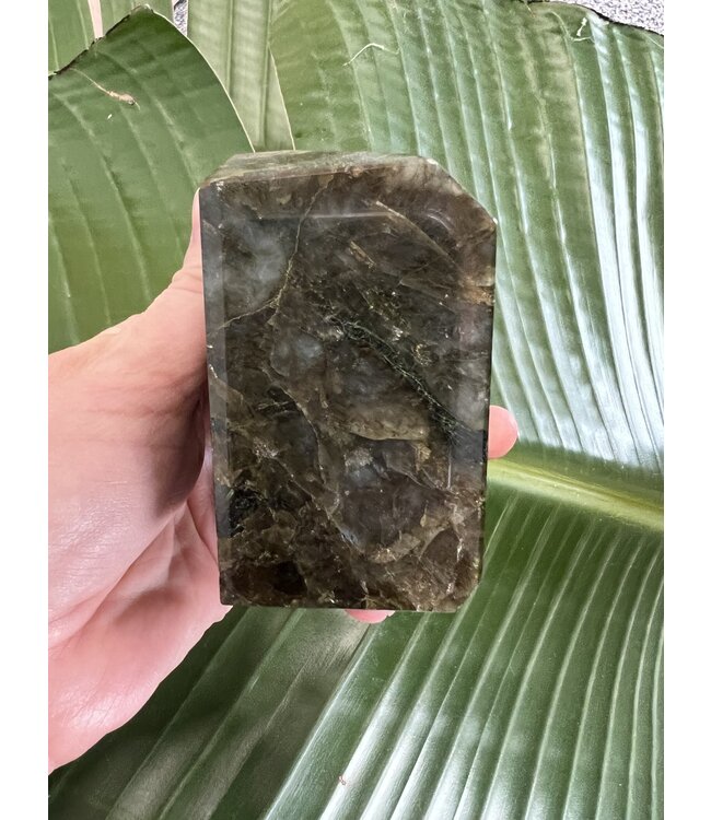 Labradorite Freeform #48, 506gr, *disc.*