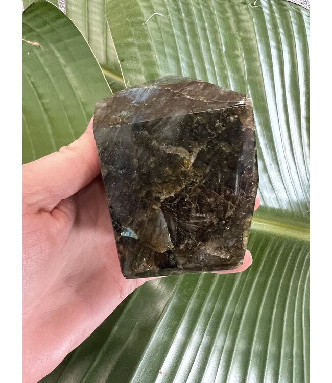 Labradorite Freeform #48, 506gr, *disc.*
