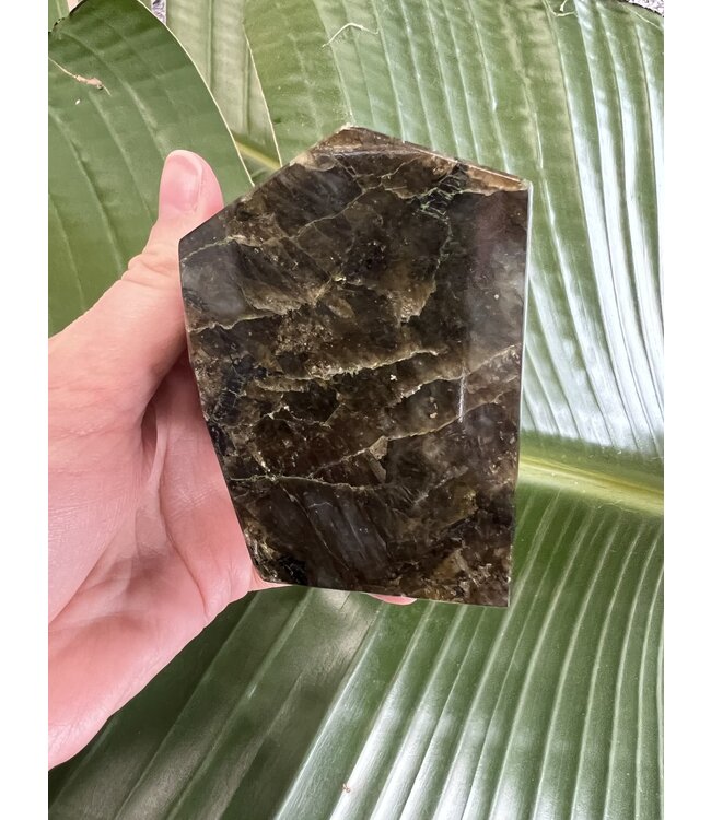 Labradorite Freeform #48, 506gr, *disc.*