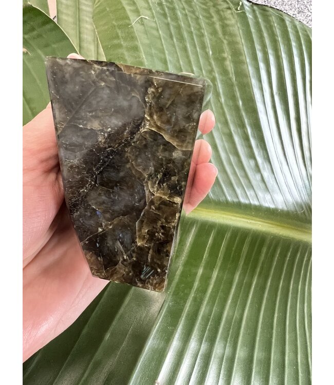 Labradorite Freeform #49, 434gr, *disc.*