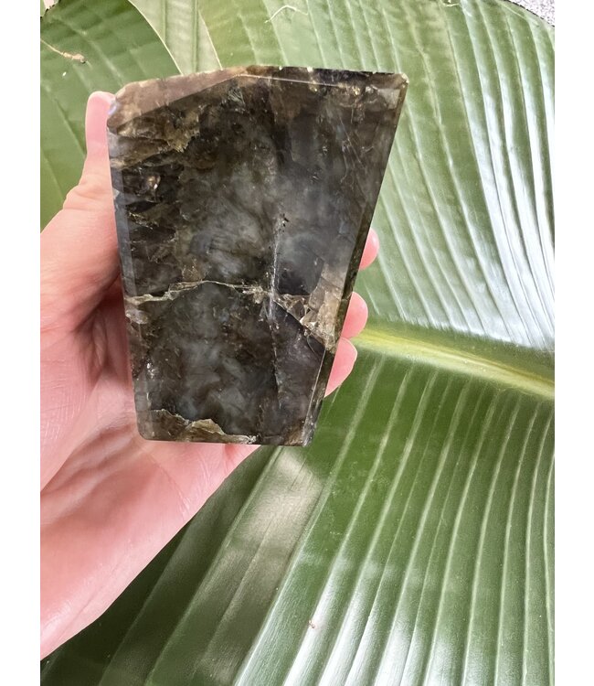 Labradorite Freeform #49, 434gr, *disc.*