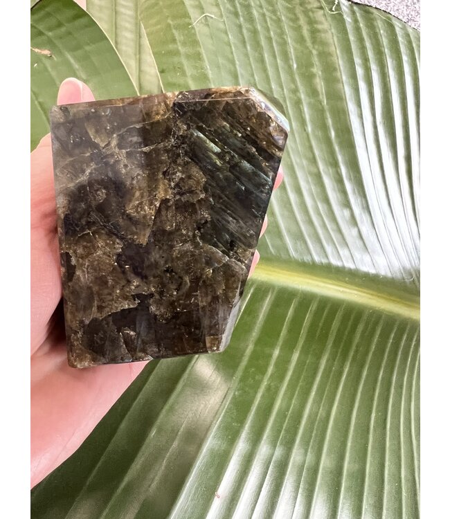 Labradorite Freeform #49, 434gr, *disc.*