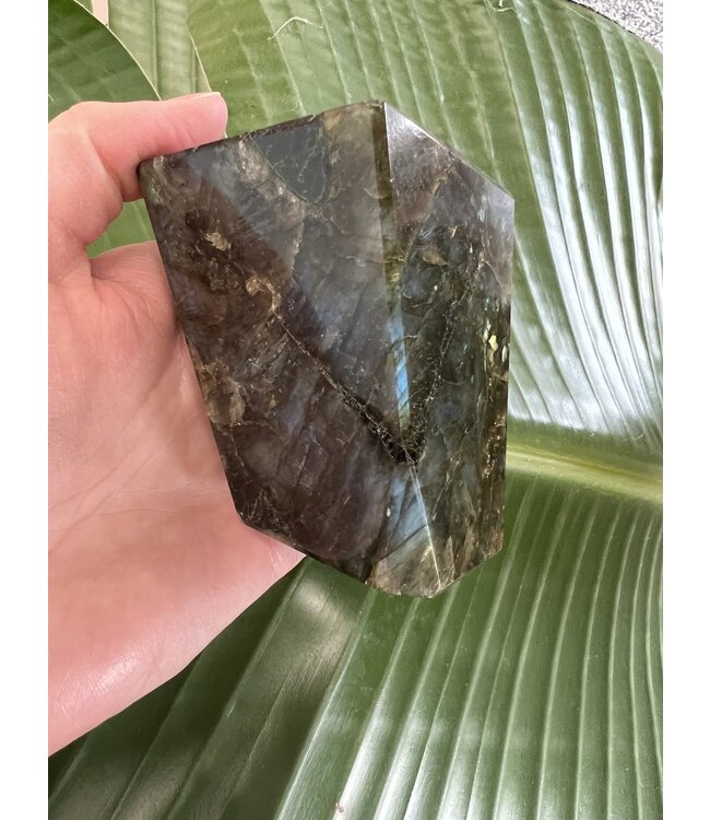 Labradorite Freeform #49, 434gr, *disc.*