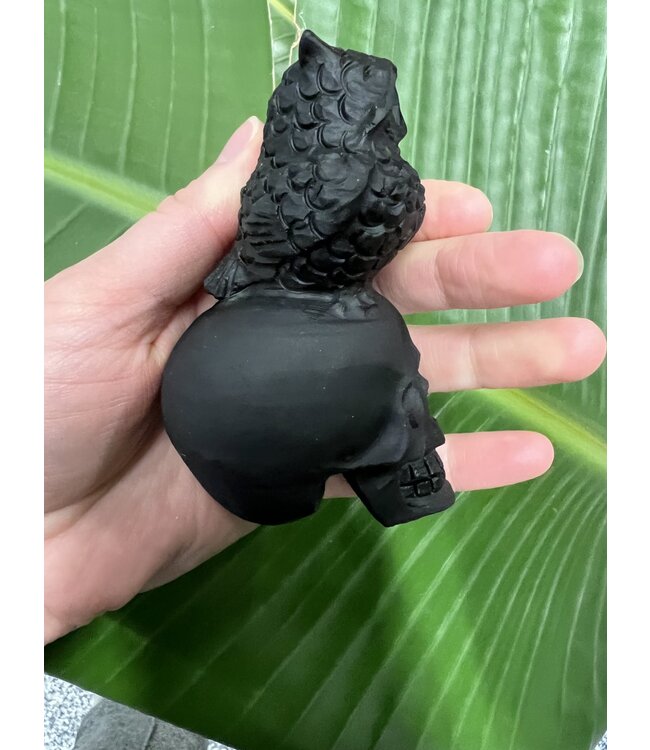 Black Obsidian Skull with Owl